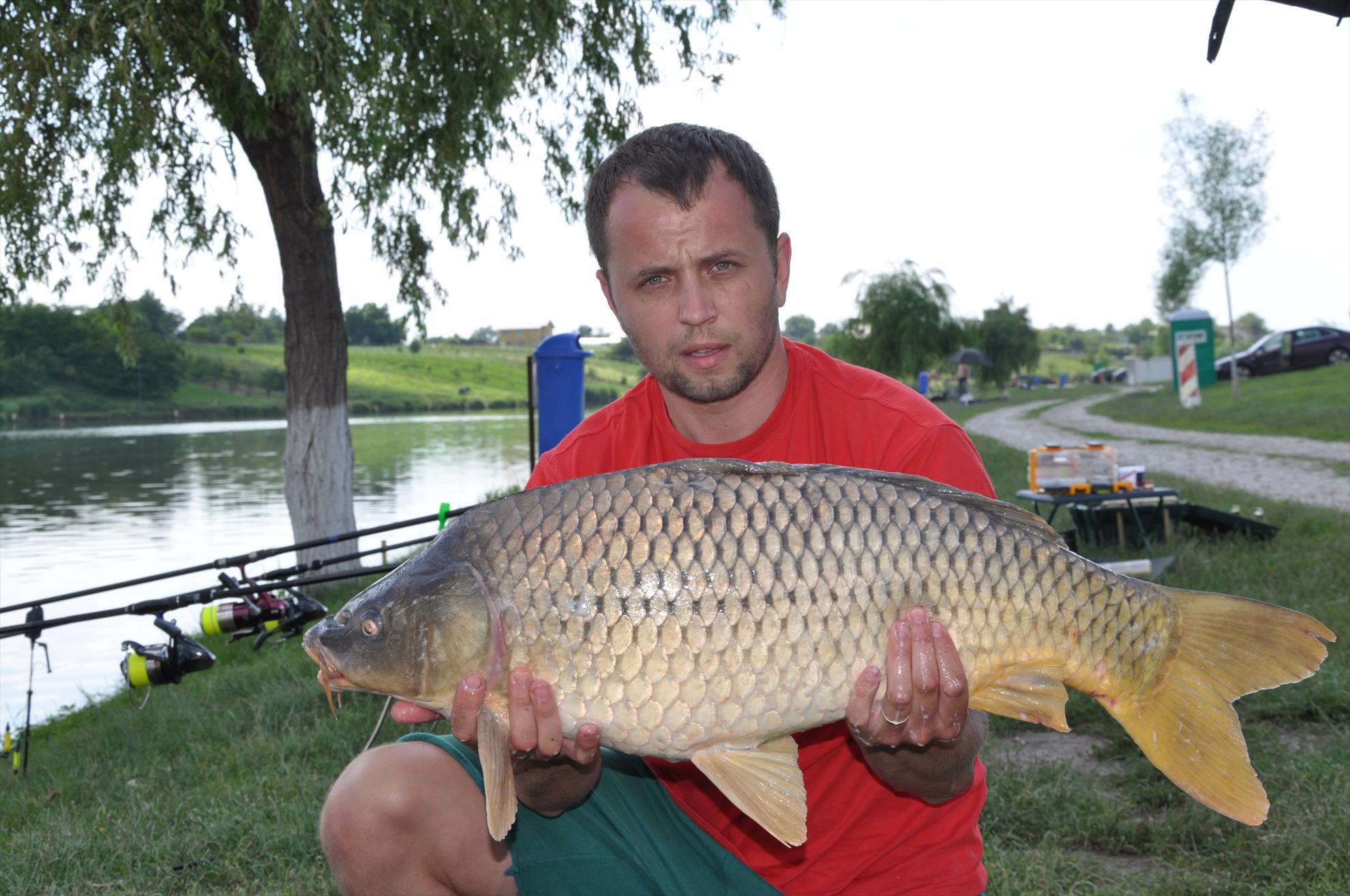 MV 2/3- 09/06/2013 - dsc0047.JPG